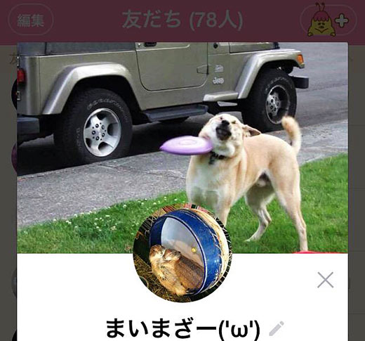 カバー写真と合わせておもしろい！発想が笑えるLINEのトプ画集05