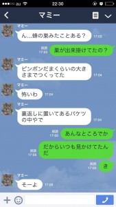 母親のLINEがやかましくて可愛いライン画像06